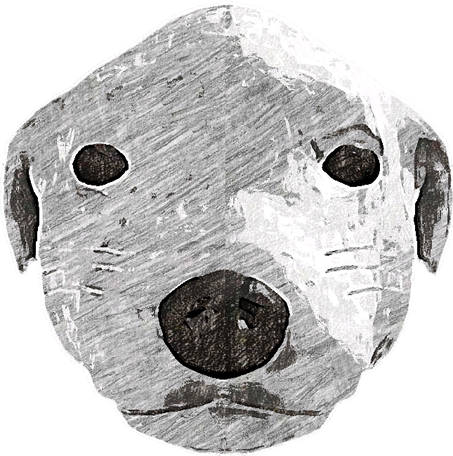 perro1